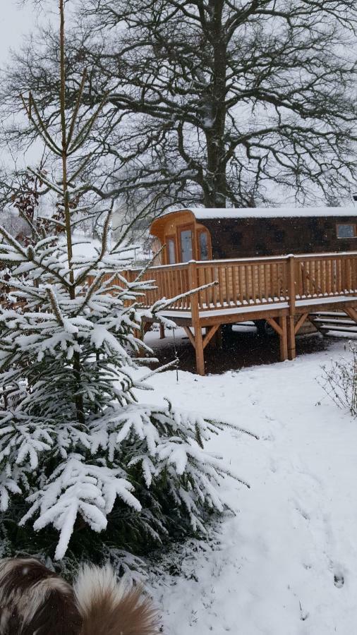 Hotel Ma Roulotte Sous Les Chenes "La Passionnee" Raon-aux-Bois Exterior foto